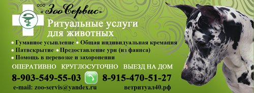 Кремация Кошек В Спб Цены